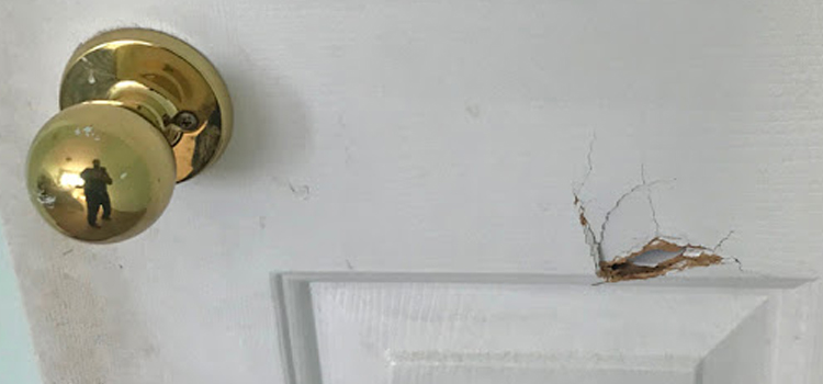 interior door hole repair Glenvar Heights