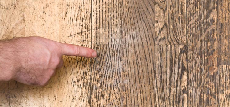 Wood Door Scratch Repair in Glenvar Heights